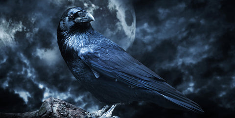 Les animaux emblématiques de la culture gothique : symboles, mystères et fascination éternelle