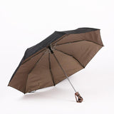 Parapluie Gothique <br /> à Poignée de Tête de Mort