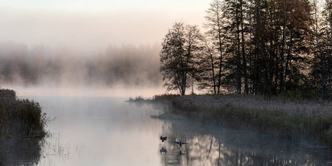 le gothique et la nature