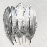 Plumes d’oie gothiques décoratives – Lot pour loisirs créatifs