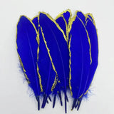 Plumes d’oie gothiques décoratives – Lot pour loisirs créatifs
