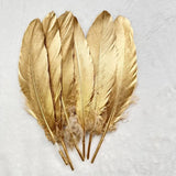 Plumes d’oie gothiques décoratives – Lot pour loisirs créatifs