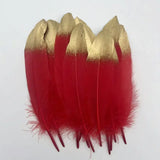 Plumes d’oie gothiques décoratives – Lot pour loisirs créatifs