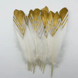Plumes d’oie gothiques décoratives – Lot pour loisirs créatifs