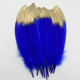 Plumes d’oie gothiques décoratives – Lot pour loisirs créatifs