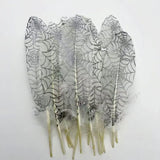 Plumes d’oie gothiques décoratives – Lot pour loisirs créatifs