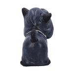 Statue Chat Sorcier Gothique