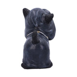 Statue Chat Sorcier Gothique