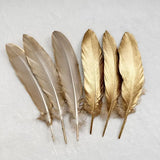 Plumes d’oie gothiques décoratives – Lot pour loisirs créatifs